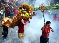 Chinese Lunar New Year Celebrations 2014