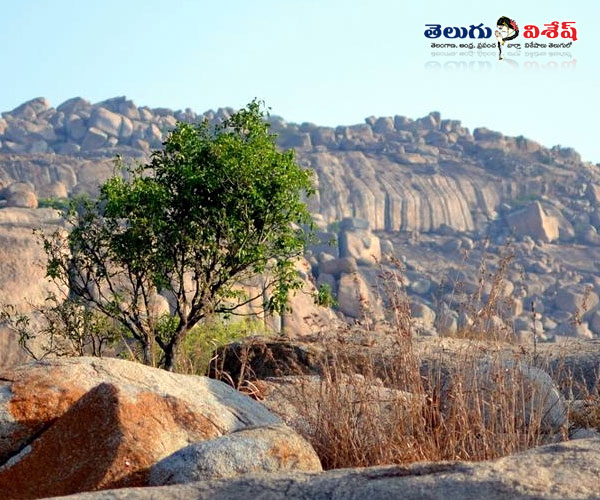 అంతరగంగ | Photo of 0 | trekking places | bangalore trekking places