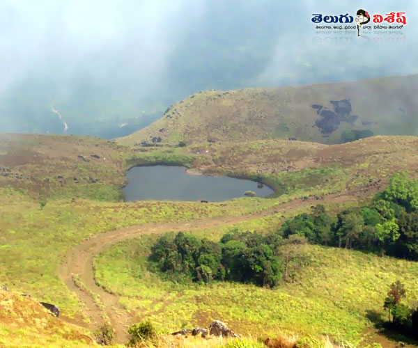 wayanad tourist locations | kerala scenic area | చెంబర శిఖరం | Photo of 0