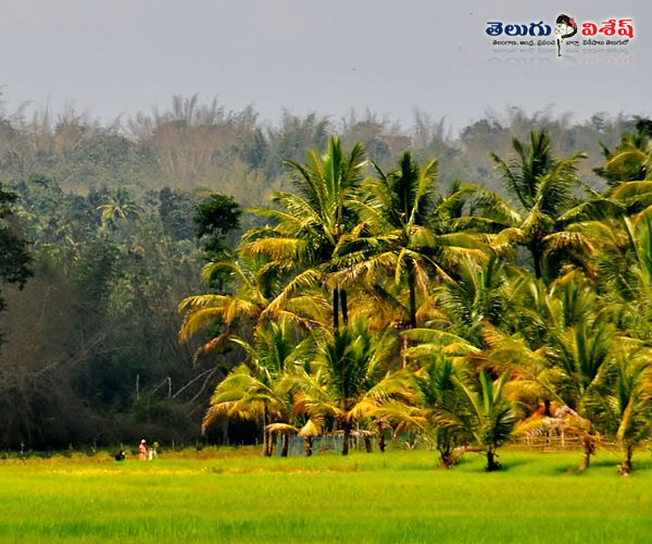 సుల్తాన్ బతేరి | best destinations in wayanad | Photo of 0 | wayanad scenic areas