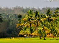 సుల్తాన్ బతేరి