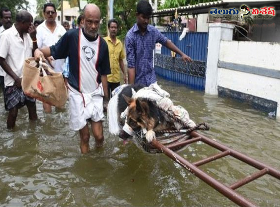 Heavy-Rain-in-Chennai3