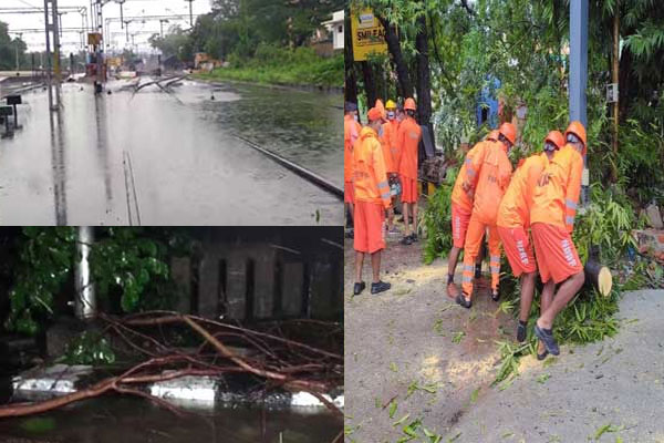 Cyclone Nivar Damages