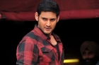 Lucky chance to super star mahesh babu fans