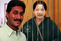 Ys jagan afraid with jayalalitha case