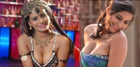 Poonam pandey to get rs 1 crore dec 31 night