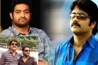 Jr ntr and nagarjuna multi starrer movie