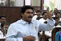 Ys jagan mohan reddy fires on ap cm chandrababu naidu