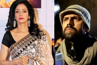 Senior actress sridevi cried after watching marathi movie tapal