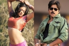 Priyamani grabbed the chance in pawan movie