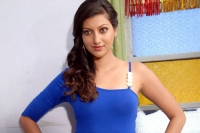 Hamsa nandini boyfriend news item songs schedules