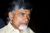 Chandrababu naidu wants tollywood in telangana and andhra pradesh