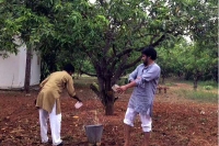 Pawan kalyan farm house photos