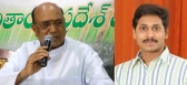 Political mla shankar rao comment on congress party