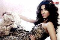 Criminal proceedings against shruti hassan