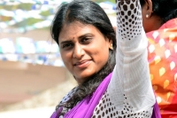 Ys sharmila nominated asycp telangana state president