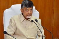 Ap cm chandrababu decided to celebrates new year in andhra pradesh state in vijayawada