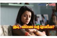 Actress trisha not hospitalized