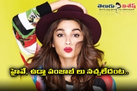 Alia bhatt desires to do massive masala movie