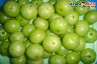 Amla helps hair growth beauty tips home remedies