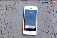 Ants circle ringing iphone