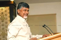 Ap cm chandrababu naidu said that telangana surplus budget for his effort