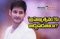 Mahesh fans angry on sarrainodu