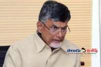 All party mlas in andhra pradesh cabinet