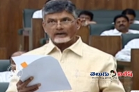 Chandrababu naidu on central aid