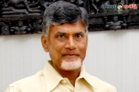 Chandrababu naidu interesting comments andhra pradesh development capital city amaravathi