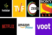 Digital news portals ott platforms like netflix now under govt regulation