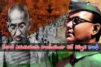 Gandhi push the development of netaji