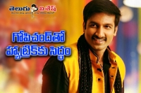 Gopichand next film with sriwaas