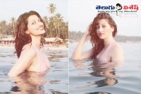 Hamsa nandini hot stills