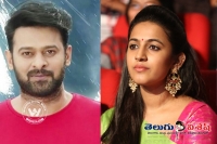 Prabhas involvement in happy wedding