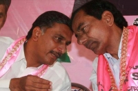 Kcr calls harish rao as bullet