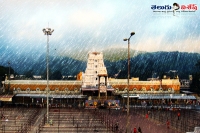 Only fifteen minusts for tirumala venkataeshwara swamy darshan