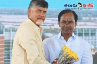 Pinnelli ramakrishna reddy praised kcr