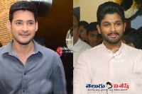 Mahesh bunny movies on same date