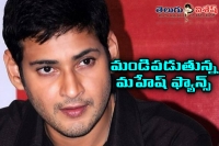 Mahesh babu fans on fire