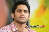 Naga chaitanya character in maruthi movie