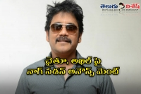 Nagarjuna announced chaithu and akhil next movies