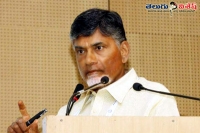 Chandrababu naidu boosts tdp and bjp cader