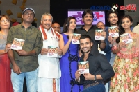 Padesave audio launch