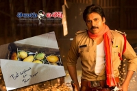 Sad news for pawan kalyan mangoes lovers