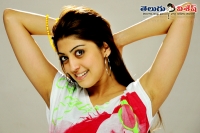 Pranitha to romance with balakrishna in dictator movie