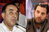 Subramanian swamy satires on rahul gandhi marriage