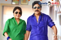 Soggade chinni nayana guntur collections