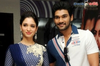 Tamannaah again hot item song with alludu seenu