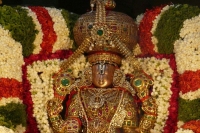 A miracle in tirumala srivari temple